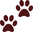 Brown puppy paw prints.